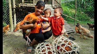 Knitting Bamboo Basket  Harvest chicken to market sell  hang corn in the kitchen  gardening