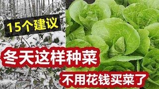 全面概括冬天种菜的15个建议没有种不出来的菜只有不想种的菜 15 Tips to grow vegetables in cold winter successfully