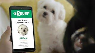 Rover Presents Real Pet Parent Care Instructions 30