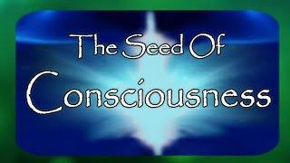 The Seed Of Consciousness