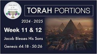Torah Portion Week 11 & 12 - Genesis 411 - 5026  Heading to Egypt  2024 - 2025