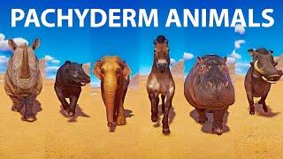 Pachyderm Animals Speed Races in Planet Zoo included Elephant Rhino Hippo Horse