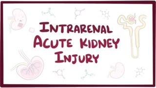 Intrarenal acute kidney injury acute renal failure - causes symptoms & pathology