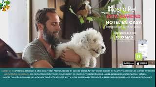 Hotel para perros en Mexico para esta Navidad 2020