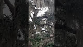 Beautiful Wilmington NC #travel #vacationdestinations #travelvlog #roadtrip #carolina