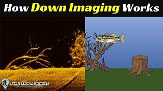 The LAST Down Imaging Explanation You Will Ever Need  Fish Finder Sonar Instruction