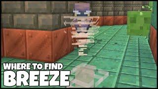 Where To Find The BREEZE In MINECRAFT