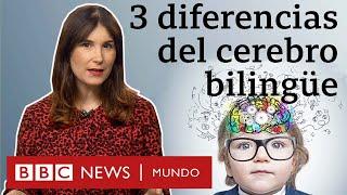 Cómo cambia tu cerebro al hablar varios idiomas  BBC Mundo