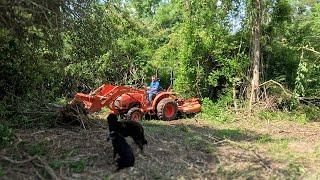 Epic Land Clearing Leads To Old Dam Discovered On 140 Year Old Farm