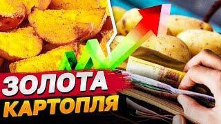 Кіло картоплі вже майже 50 гривень Чому бульба стає золотою?