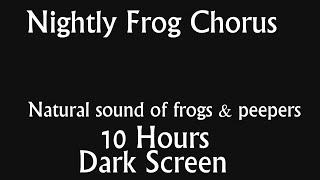 Nightly Frog Peepers Chorus - 10 Hours of Dark Screen  Natural Sound