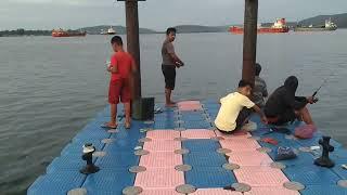 hunting jembatan viral di bure floating deck jembatan apung