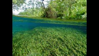 A journey through the Rio Sucuri with narration in Mato Grosso do Sul Brazil.