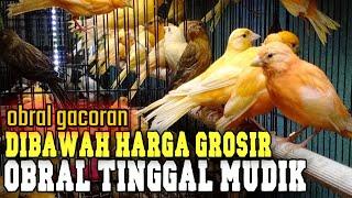 terpaksa di jual di bawah harga grosir dari pada di tinggal mudik gacoran & bahan