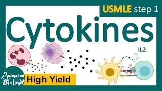 Cytokines  subclasses of cytokines  functions of cytokines  USMLE step 1