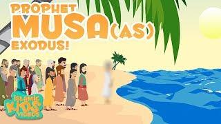 Prophet Stories In English  Prophet Musa AS  Part 4  Stories Of The Prophets  Quran Stories