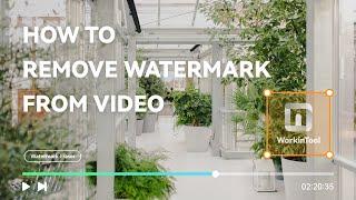 How to Remove Watermark From Video  WorkinTool Watermark Eraser