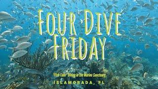 Four Dive Friday  Diving The Florida Keys National Marine Sanctuary