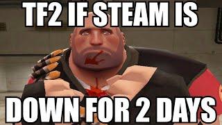 TF2 IF STEAM IS DOWN FOR 2 DAYS