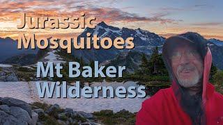 Mt Baker Wilderness  4 Days Jurassic mosquitoes & Epic Photography