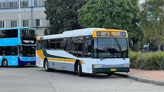 Interline Bus Services mo 9503 - Mercedes-Benz O500LE Bustech VST part 2