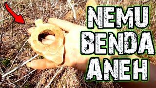 BIKIN KAGET.. Mencari Harta Karun Di Hutan - malah nemu kumpulan benda aneh