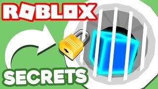 6 ROBLOX SECRETS