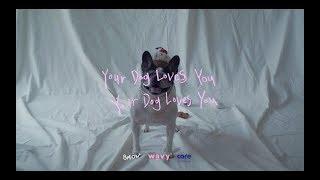 Colde 콜드 - Your Dog Loves You Feat. Crush Official Video