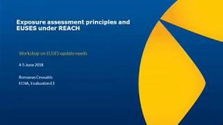 Exposure assessment principles and EUSES under REACH