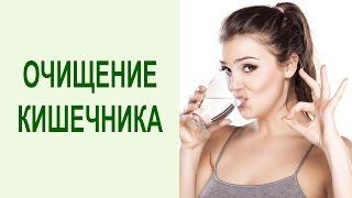 Шанк Пракшалана. Очищение кишечника и всего ЖКТ от шлаков и токсинов соленой водой. Yogalife