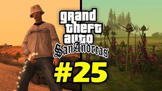 10 rare facts about GTA San Andreas #25