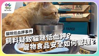 飼料疑致貓咪低血鉀？寵物食品安全如何管理？｜貓咪低血鉀事件｜公視 #獨立特派員 第864集 20240814