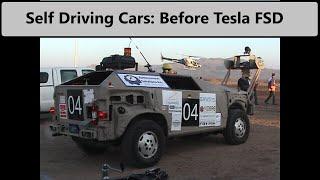 A Unique Perspective on Tesla FSD