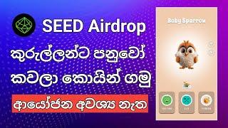 කුරුල්ලන්ට පනුවො කවලා සල්ලි හොයමු  Seed Airdrop Update  Telegram Airdrop  Seed Airdrop