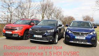 Посторонние звуки при холодном пуске 1.5 HDI DV5RC PSA