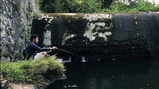 MANCING IWAK WADER DI BAWAH BENDUNGAN TUA