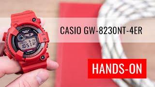 HANDS-ON Casio G-Shock Master of G Frogman GW-8230NT-4ER