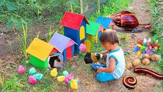 Menangkap Ayam Lucu Ayam Warna Warni Ayam Rainbow Keong Bekicot Dan Luwing Kaki Seribu