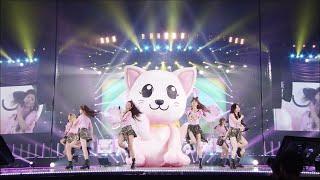 DVD Girls Generation 소녀시대 - Do The Catwalk The Best live at TOKYO DOME