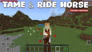 How to TAME & RIDE HORSE in Minecraft Pocket Edition