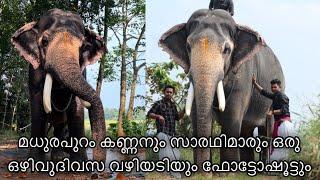 madhurapuram kannan  madhurapuram kannan elephant ഒഴിവ് ദിവസം കണ്ണന്റെ വഴിയടിയും ഒരു ഫോട്ടോഷൂട്ടും