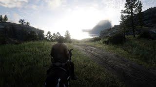 Red Dead Redemption 2 Showing graphics on PS5