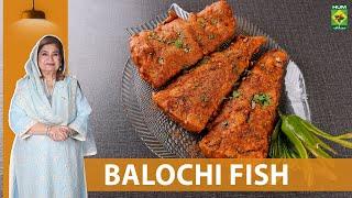 How To Make Balochi Fish ? Quick Balochi Fish Recipe - Shireen Anwar - Masala Tv