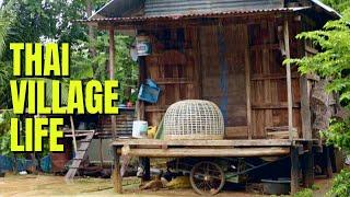 VILLAGE LIFE IN THAILAND what its like in a small Issan villageชีวิตในหมู่บ้านพิมายประเทศไทย