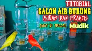 sangat unik membuat galon air burung buat di tinggal mudik dari barang bekas murah dan praktis