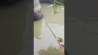 fishing pen 