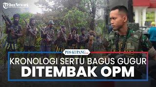 Kronologi Pasukan Elite Pandawa Kostrad Gugur Ditembak OPM di Papua Tengah