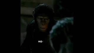 Caeser Edit #dawnoftheplanetoftheapes #caeser #koba