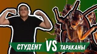 БИТВА ТАРАКАНЫ VS СТУДЕНТ в ОБЩАГЕ  REED