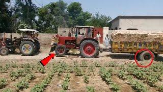 Belarus 510 & Fiat 480 Tractors Pulled Out Heavy Loaded Trolley  Belarus Tractor Talented driver